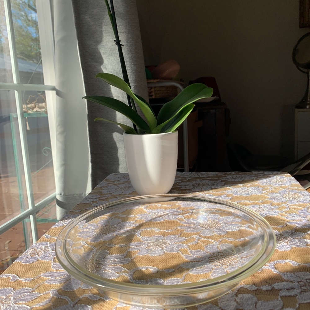 Pyrex plates - Picture 4 of 13